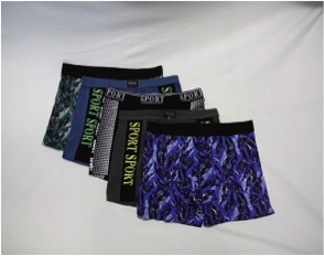 2020_04_15-Boxer02.png
